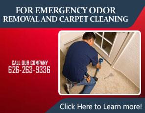 Sofa Cleaning Services - Carpet Cleaning Azusa, CA